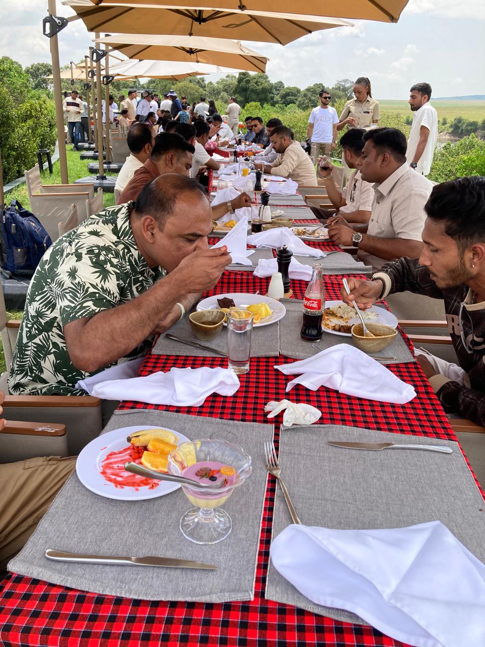 Serengeti golden plains